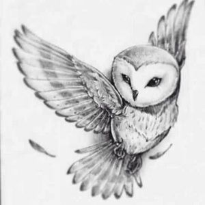 Meet your Posher, Elena